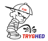 forsikringssnyd.nu